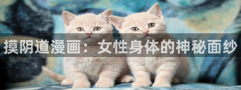 汗汗漫画歪歪漫画免费入口在线