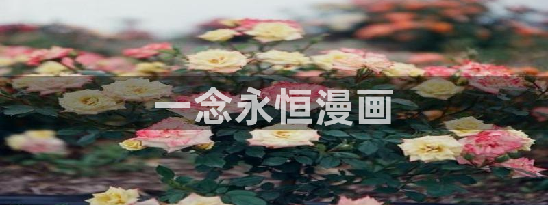 汗汗漫画网站在线观看