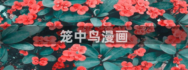 汗汗漫画手机