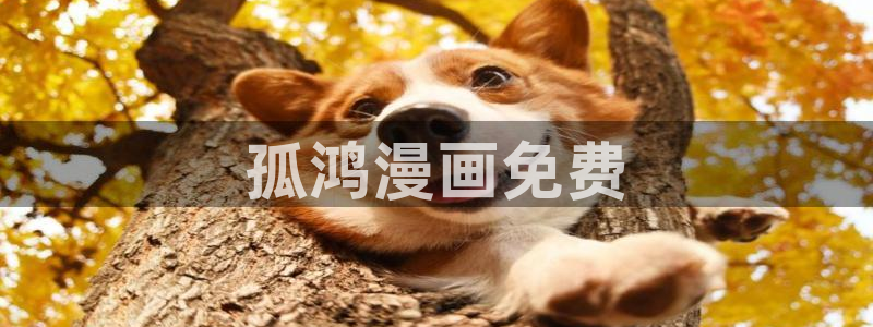 汗汗漫画免费无遮掩免费