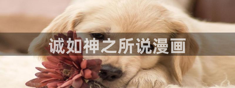 汗汗漫画登陆