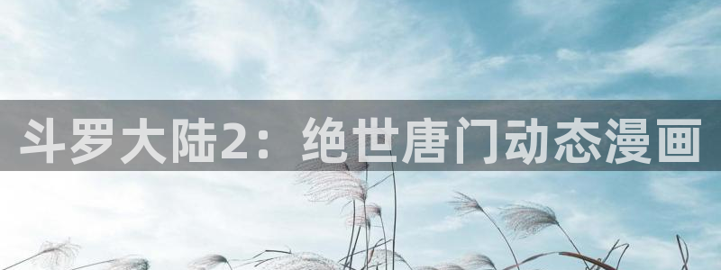 汗汗漫画在线看官网：斗罗大陆2：绝世唐门动态漫画