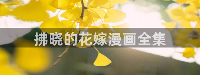 虎虎漫画 汗汗漫画：拂晓的花嫁漫画全集