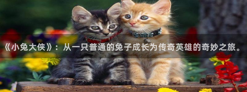 汗汗漫画进入：《小兔大侠》：从一只普通的兔子成长为传奇英雄的奇妙之旅。