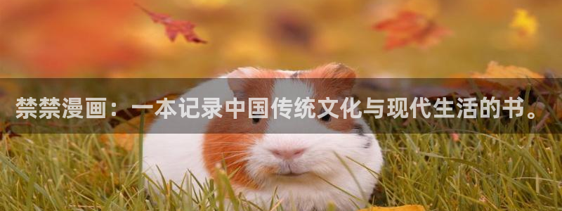 汗汗漫画网改名：禁禁漫画：一本记录中国传统文化与现代生活的书。