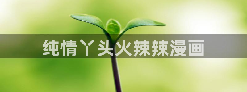 汗汗漫画韩国：纯情丫头火辣辣漫画