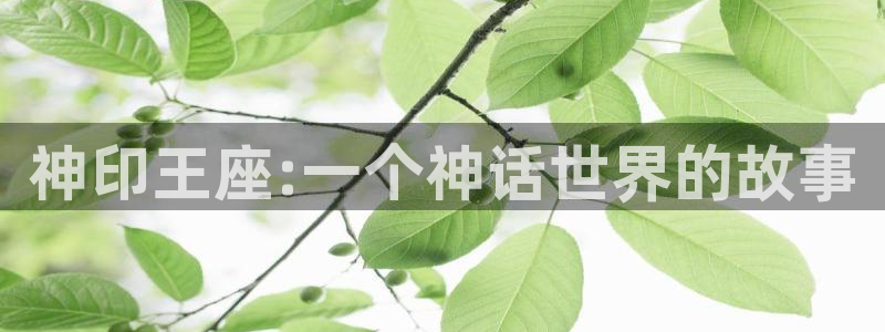 汗汗漫画高清在线观看：神印王座:一个神话世界的故事