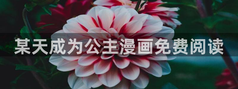 汗汗漫画在线免费阅读：某天成为公主漫画免费阅读