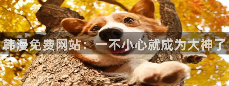 汗汗漫画下载入口：韩漫免费网站：一不小心就成为大神了