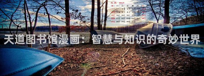 汗汗漫画首页在线：天道图书馆漫画：智慧与知识的奇妙世界